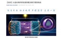 我国科学家开发出首例氢负离子原型电池