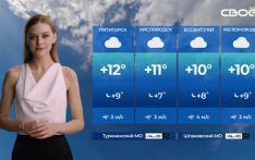 AI加速引入，俄IT行业招聘人数减少