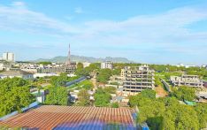 在南苏丹邂逅“草原巨人”