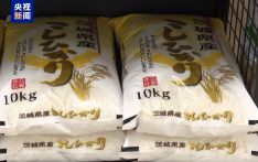 日本大米涨价潮重现 零售价逼近历史最高值