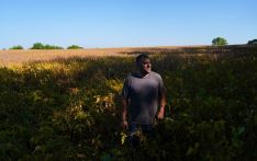 收获季，中国订单至今为零，美国豆农感受痛苦