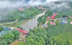 Tourists start returning to Kanyam and Antu