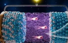 科研人员研发治疗粉碎性骨折的“胶水”