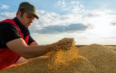 降关税稳定货币，大订单带来外汇，阿根廷农民为“零税出口”叫好