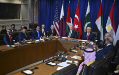 与特朗普会晤后，八个阿拉伯和伊斯兰国家发表联合声明，呼吁在加沙停火止战