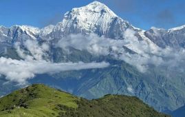 धवलागिरि आरोहण गर्न २४ जनाले अनुमति लिए