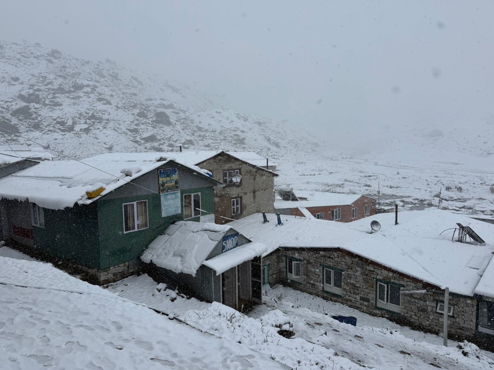 9c377f80-8218-4212-98f7-b8cdbb1bce13-04102025111211-1000x0