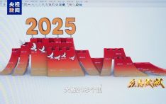 九三阅兵当天，他们坐上了自己搭建的广场观礼台