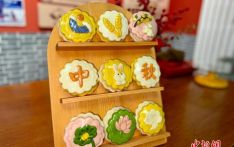 “蒸”月饼出圈记：非遗花饽饽里的中秋新味