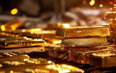 “黄金周”黄金再冲新高，为何商家不敢囤货？