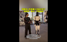 特斯拉人形机器人也会功夫了，马斯克：是AI，不是遥控