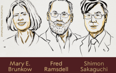 2025年诺贝尔生理学或医学奖揭晓 三位科学家获奖