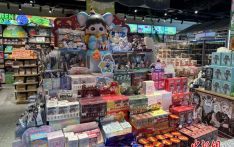 “十一”假期“谷子经济”备受青睐 撬动年轻消费市场