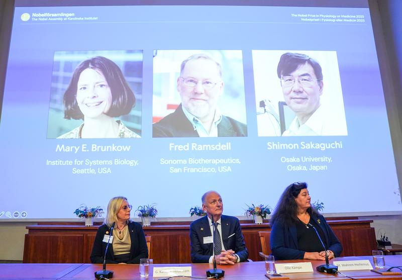 db8cefd87236e7478fdfa85d70fc1b85