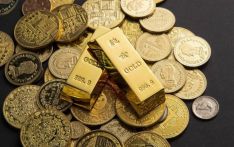 Gold price rises to record Rs 238,000 per tola in domestic market