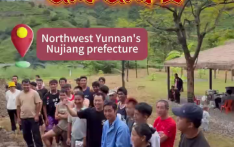 Nujiang folks catch chicks, piggies for festive air