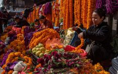 Tihar traders brace for dull sales as fear lingers after Gen Z protest
