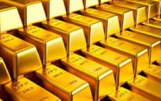 एकैदिन ८ हजार १ सय रूपैयाँले बढ्यो सुन, तोलाकै २ लाख ४८ हजार ५०० रुपैयाँ