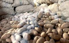 孟加拉国土豆供过于求，价格跌破每公斤20塔卡