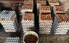 不丹鸡蛋短缺：数月前就已埋下的危机