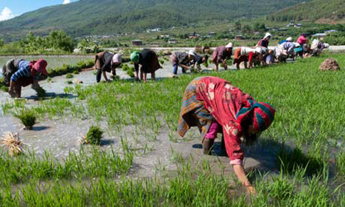 MDG-Bhutan-farmers-tranS