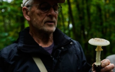 采菌子成德国生活新风尚，黑森林山脉、阿尔卑斯山成为热门打卡地