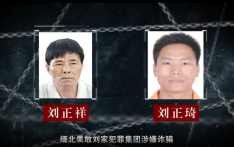 缅北果敢魏家、刘家犯罪集团专案告破 “四大家族”案全部进入司法程序