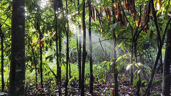 555254ee76432e10cdbef229530adc96u5