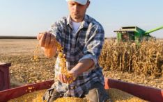 美国政府“停摆”加剧农业危机 农民忧前景黯淡