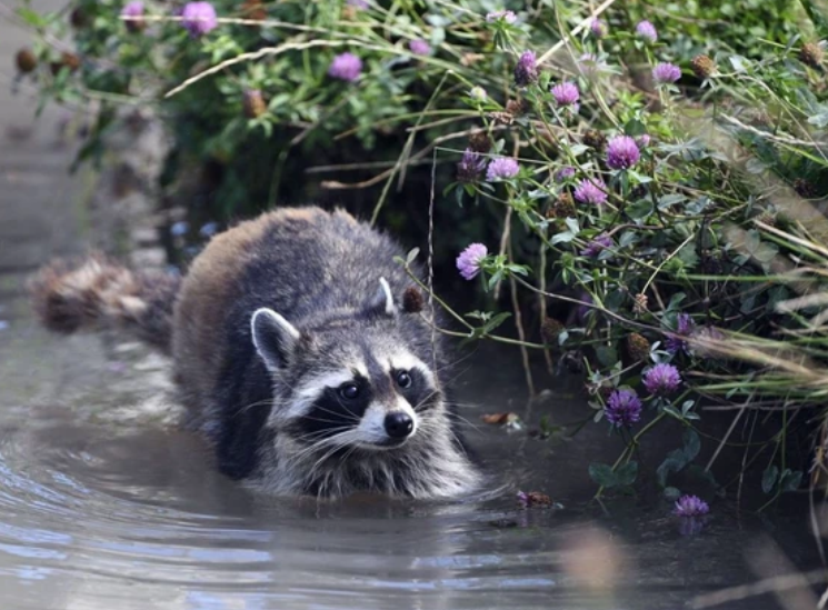 00d378f9544f3a2ef29d624b7c93aaecu1