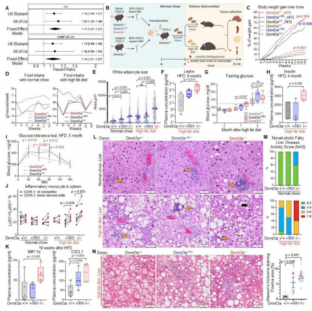 0bdd902dc677c8fc67243a869e83e2a3