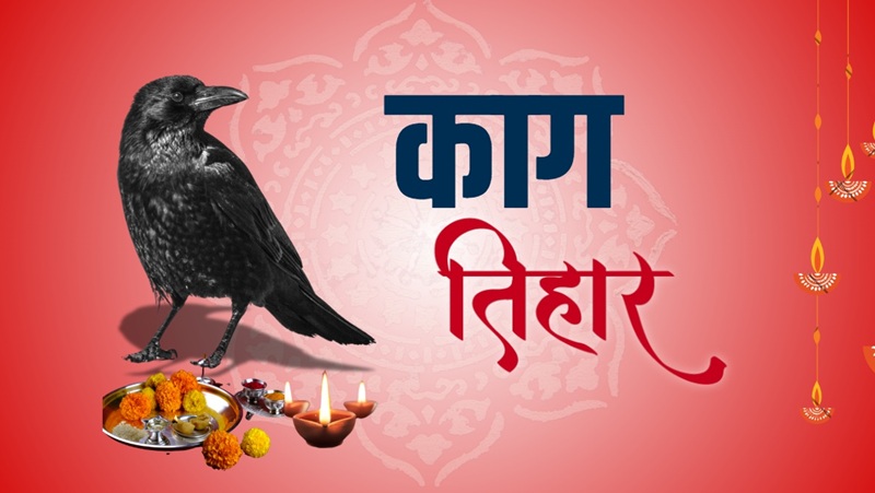 Kaag-Tihar-Crow