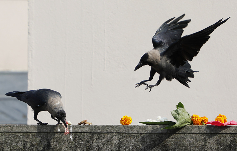 wechat_2025-10-19_095027_750