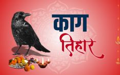 乌鸦节：崇敬阎罗使者的传统与象征意义