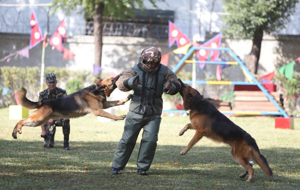 wechat_2025-10-20_111013_061