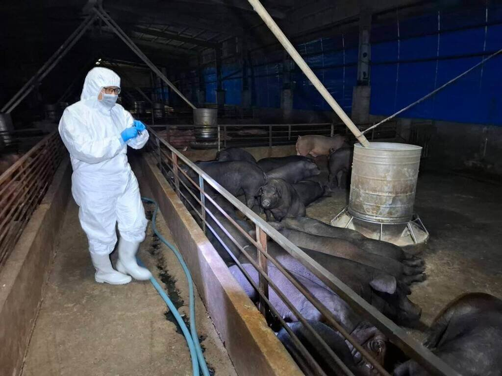 c67f8d1cb7be84aafca74210e8575da9u1