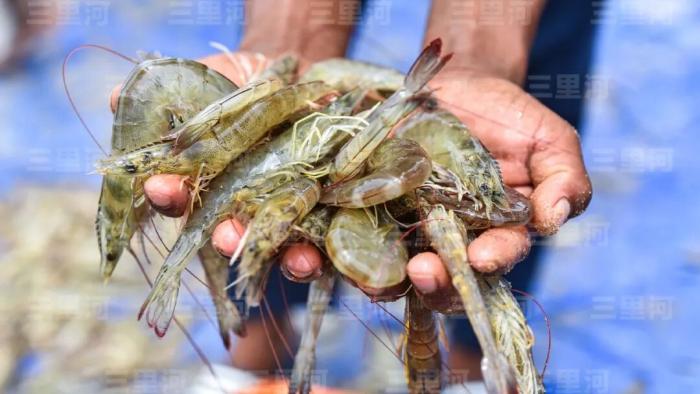 de8c7d4ba5834747a1d3dd8488410460