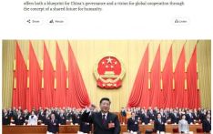 陈松大使发表署名文章《时代之问，中国之答》