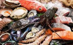 今年一季度巴基斯坦对华海鲜出口额增至1.53亿美元