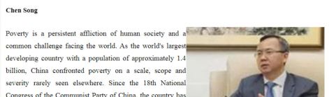 陈松大使发表署名文章《中国特色减贫道路的内在逻辑及世界意义》