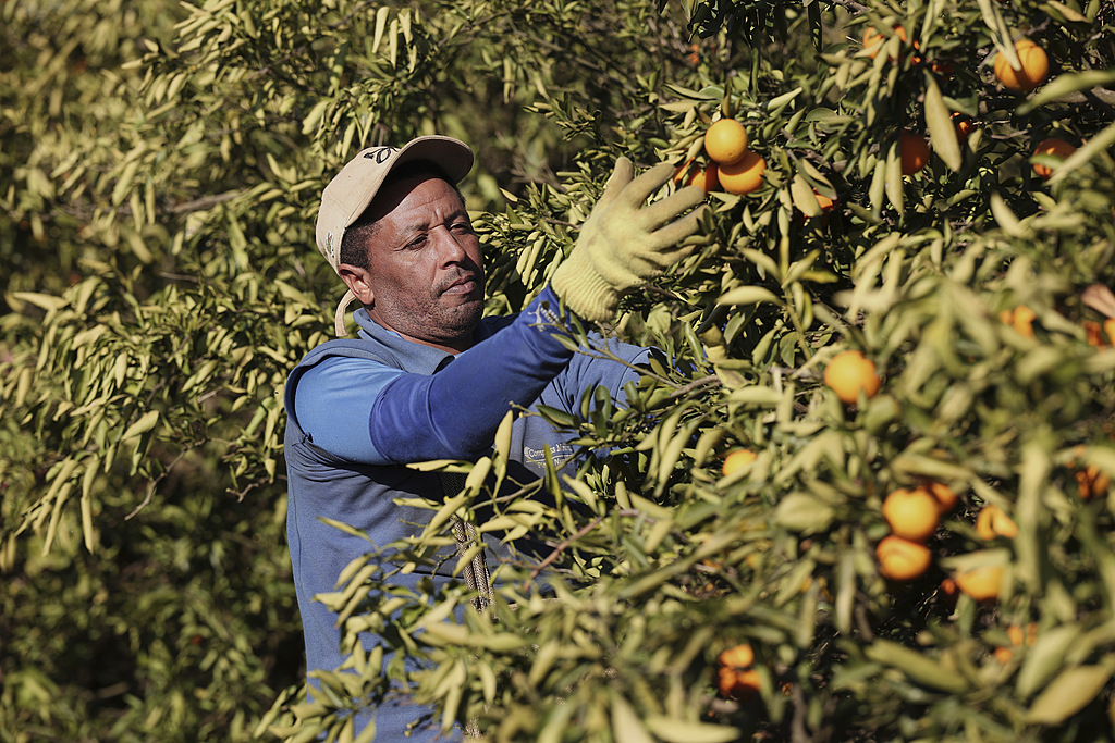 548df5700f151b0eab4e17e5a009a65bu5