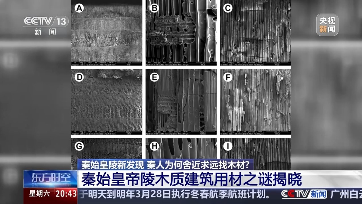 d06522963b781bcd4f4f279f461dfd2e