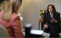 “迄今为止最强烈暗示”，哈里斯暗示可能再次竞选总统，白宫回应