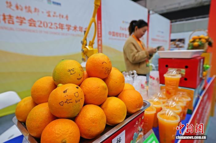 5c34d83f-b126-48ff-9769-82c2208a9ddb_zsite