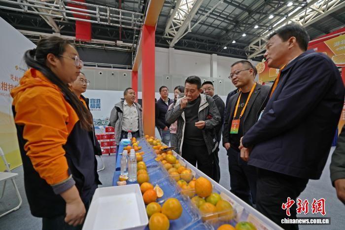 9c524ff6-70d6-4cf6-93df-ebe413d180aa_zsite