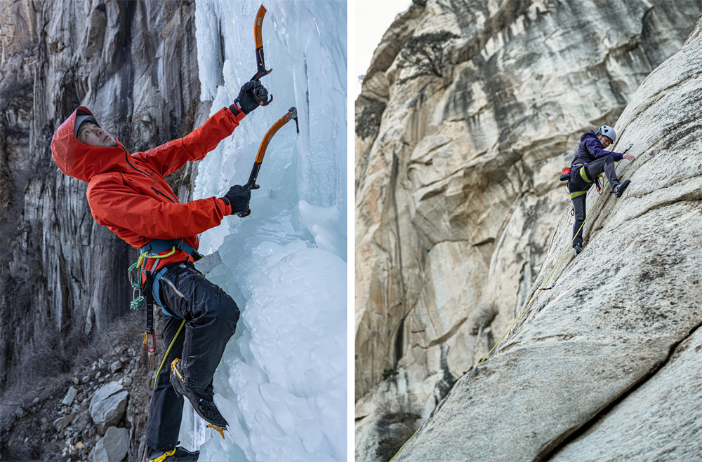 454A4C6D979C71ED7BBA0FA302384175A95550EA_size386_w1000_h659