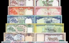 废钞令能否遏制腐败？