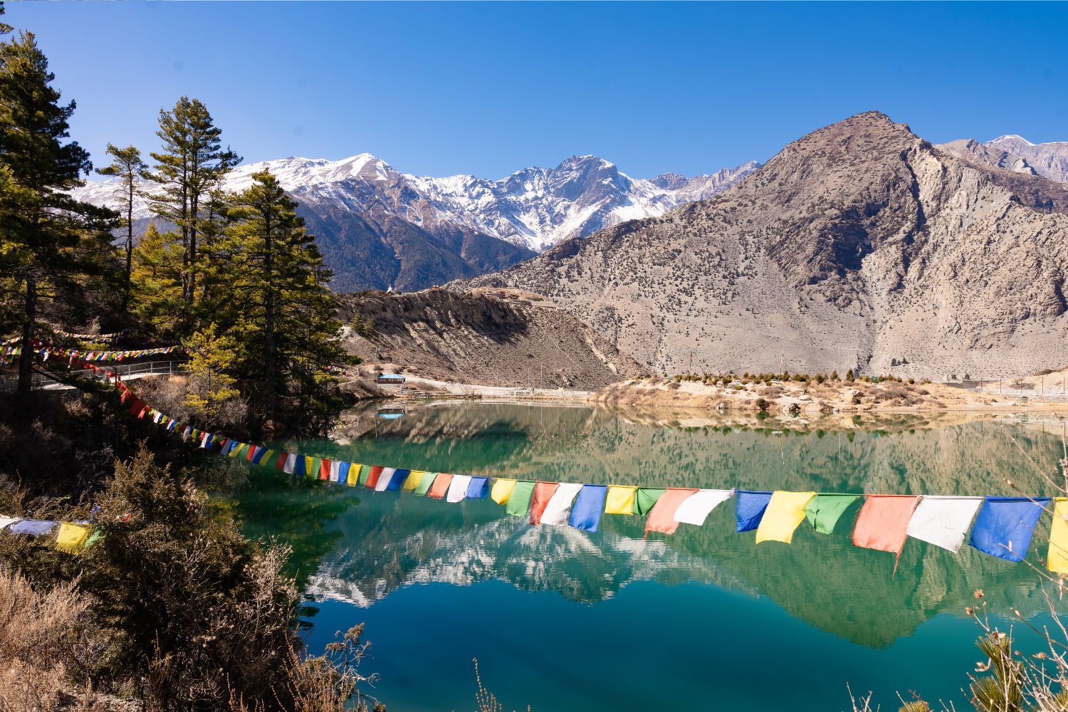 True, Mustang is beautiful, but it lacks a lot x2