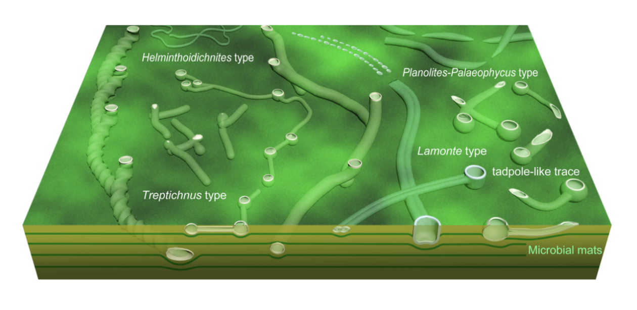 3629718e2ed002b313357db037497d86u1