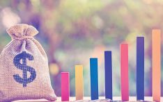 Public debt rises to Rs. 2,724 billion, up by Rs. 50.60 billion in first quarter